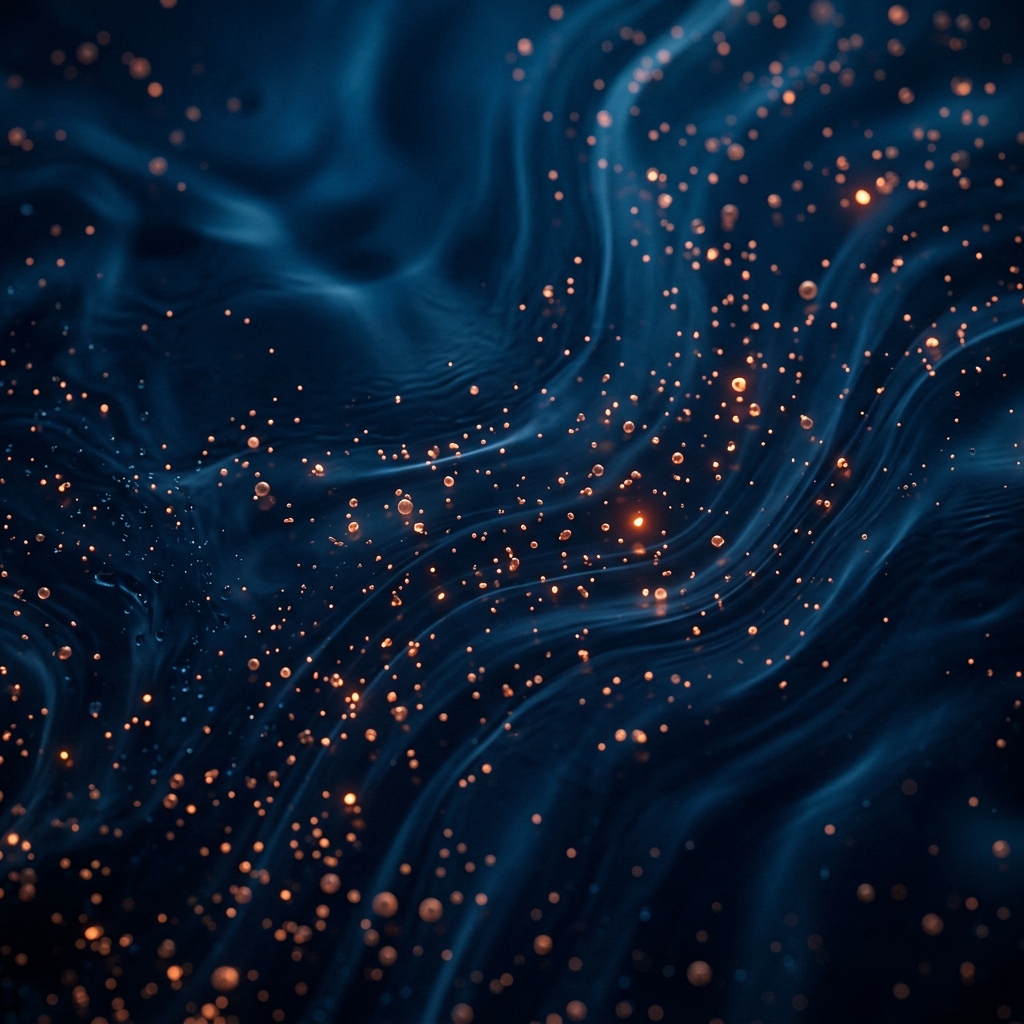 Project 04